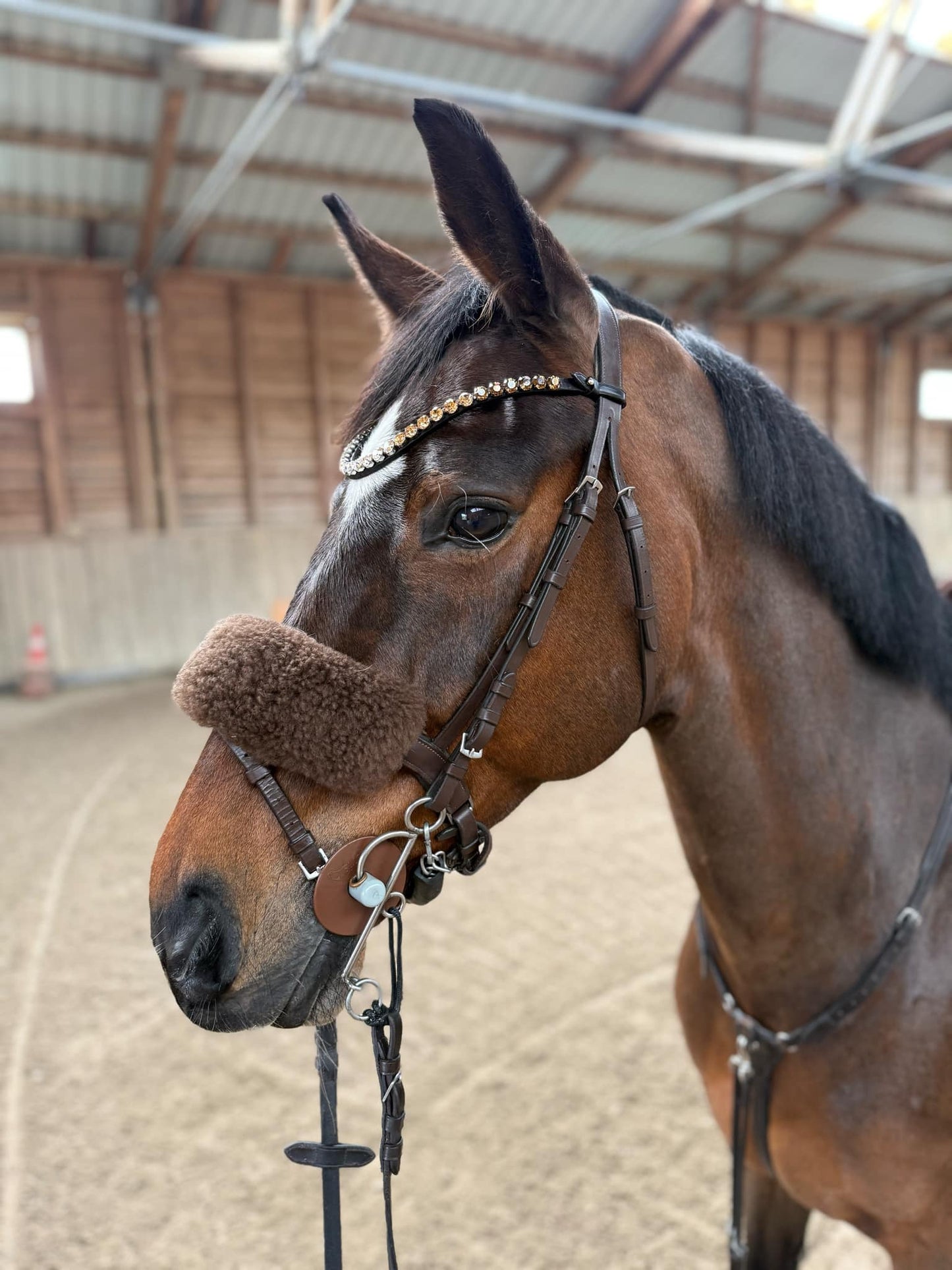 Dividor kristály homlokszíj