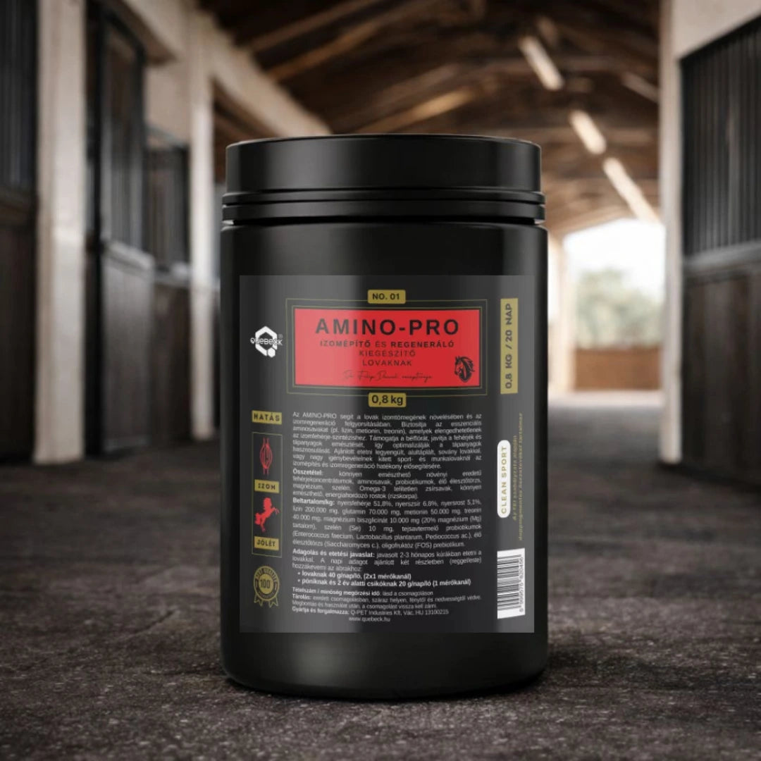 AMINO-PRO – izomkondíció támogatás