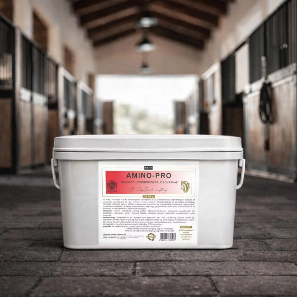 AMINO-PRO – izomkondíció támogatás