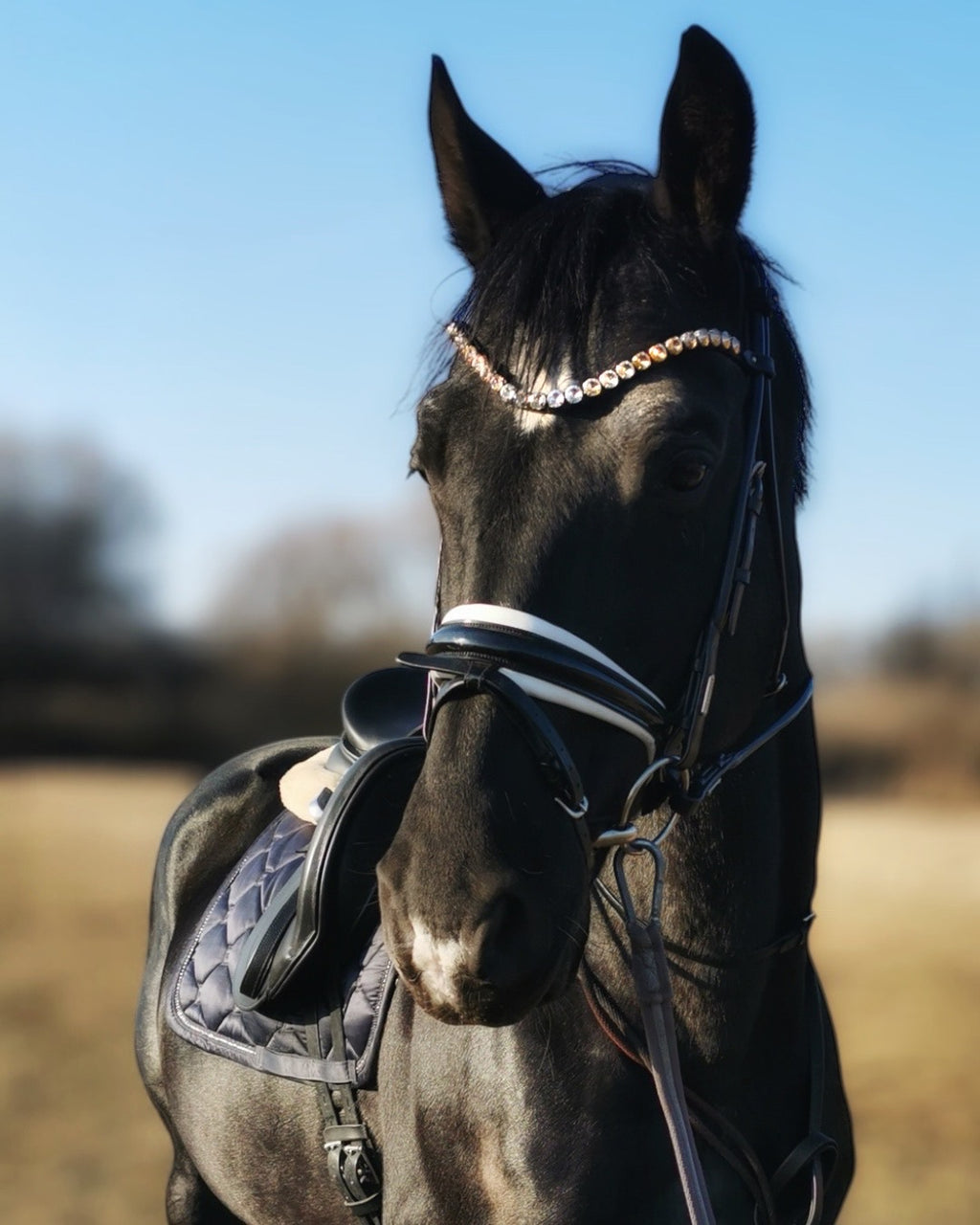 Dividor kristály homlokszíj