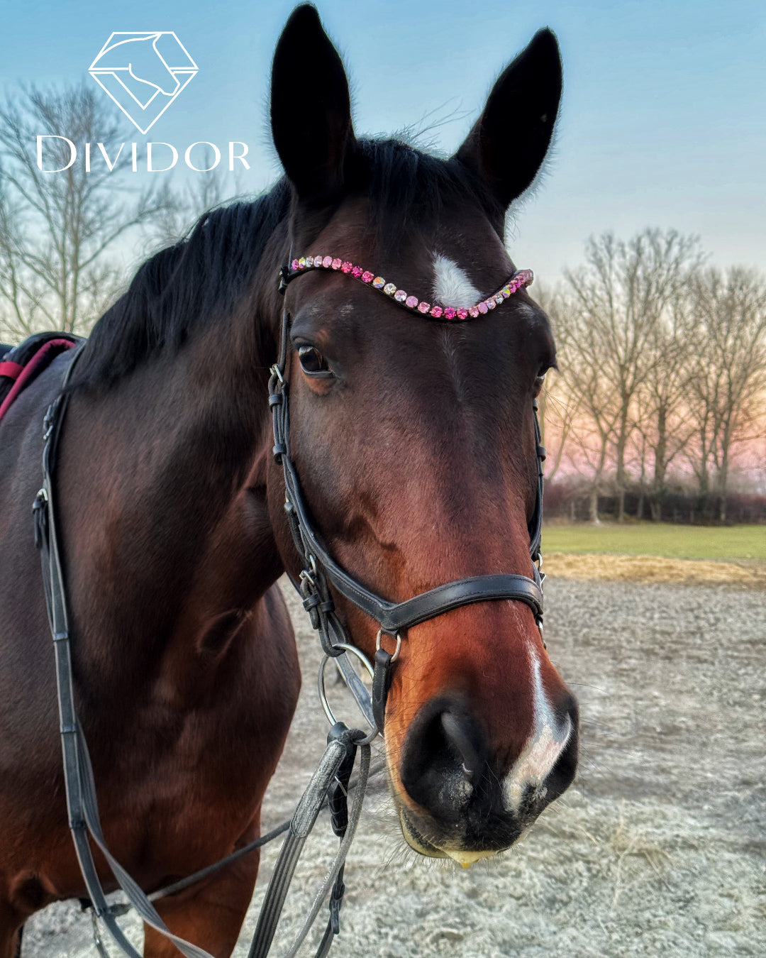 Dividor kristály homlokszíj