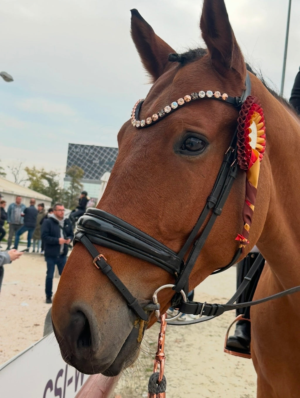 Dividor kristály homlokszíj