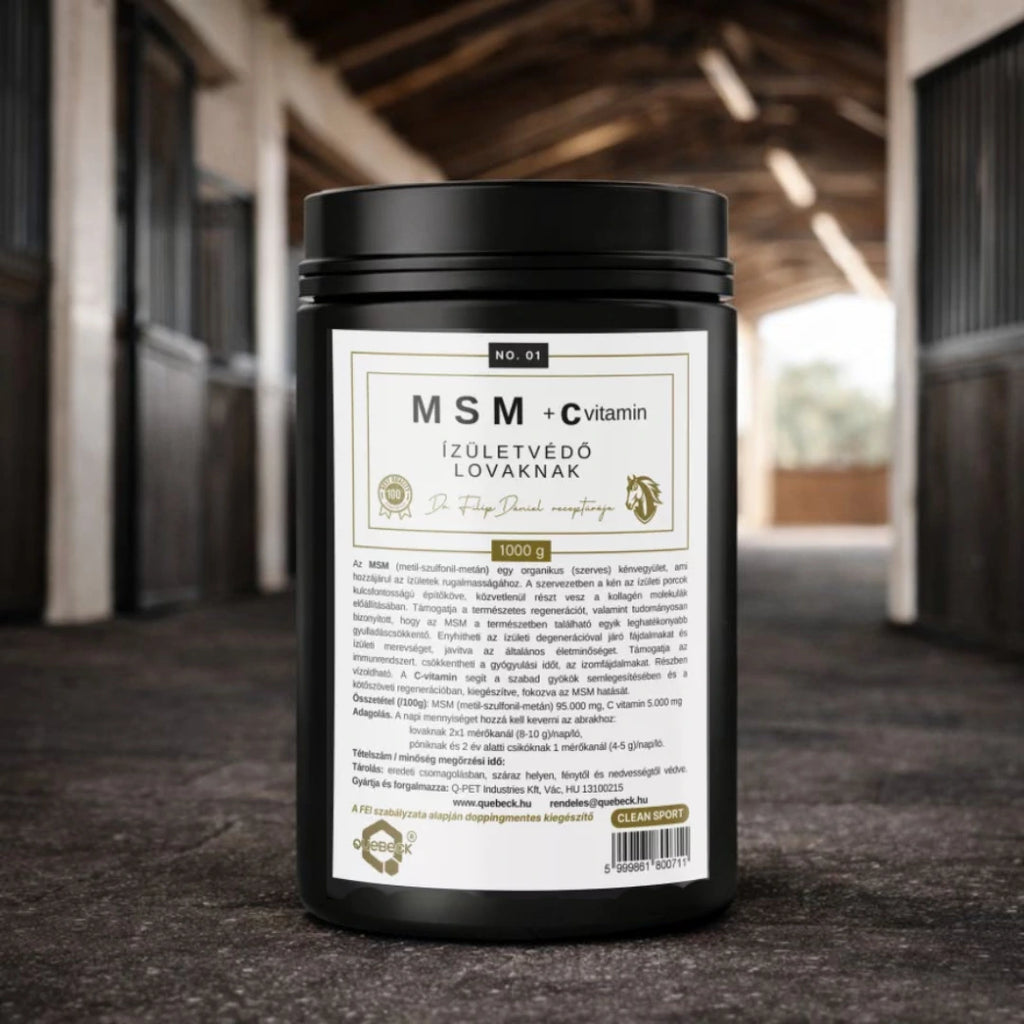 MSM + C vitamin, kötőszöveti támogatás lovaknak