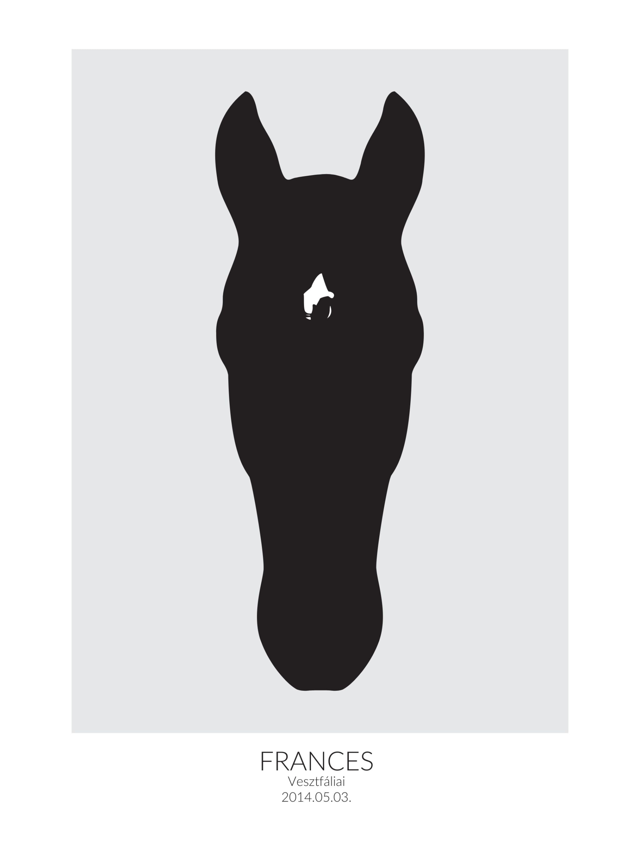 Vászonkép lovadról