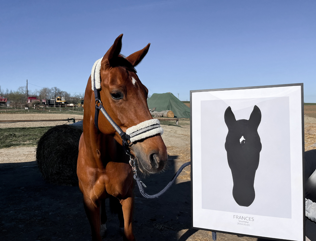 Poster with a picture of your horse