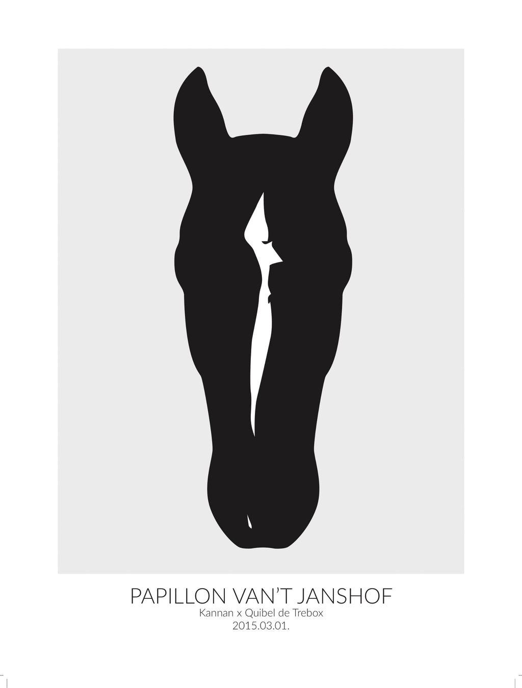 Vászonkép lovadról