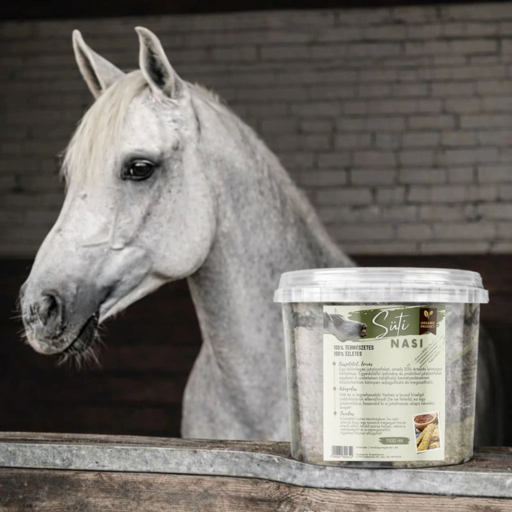 SÜTI NASI – Lenmagos jutalomfalat lovaknak