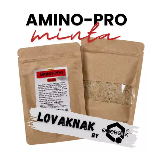 AMINO-PRO – izomkondíció támogatás
