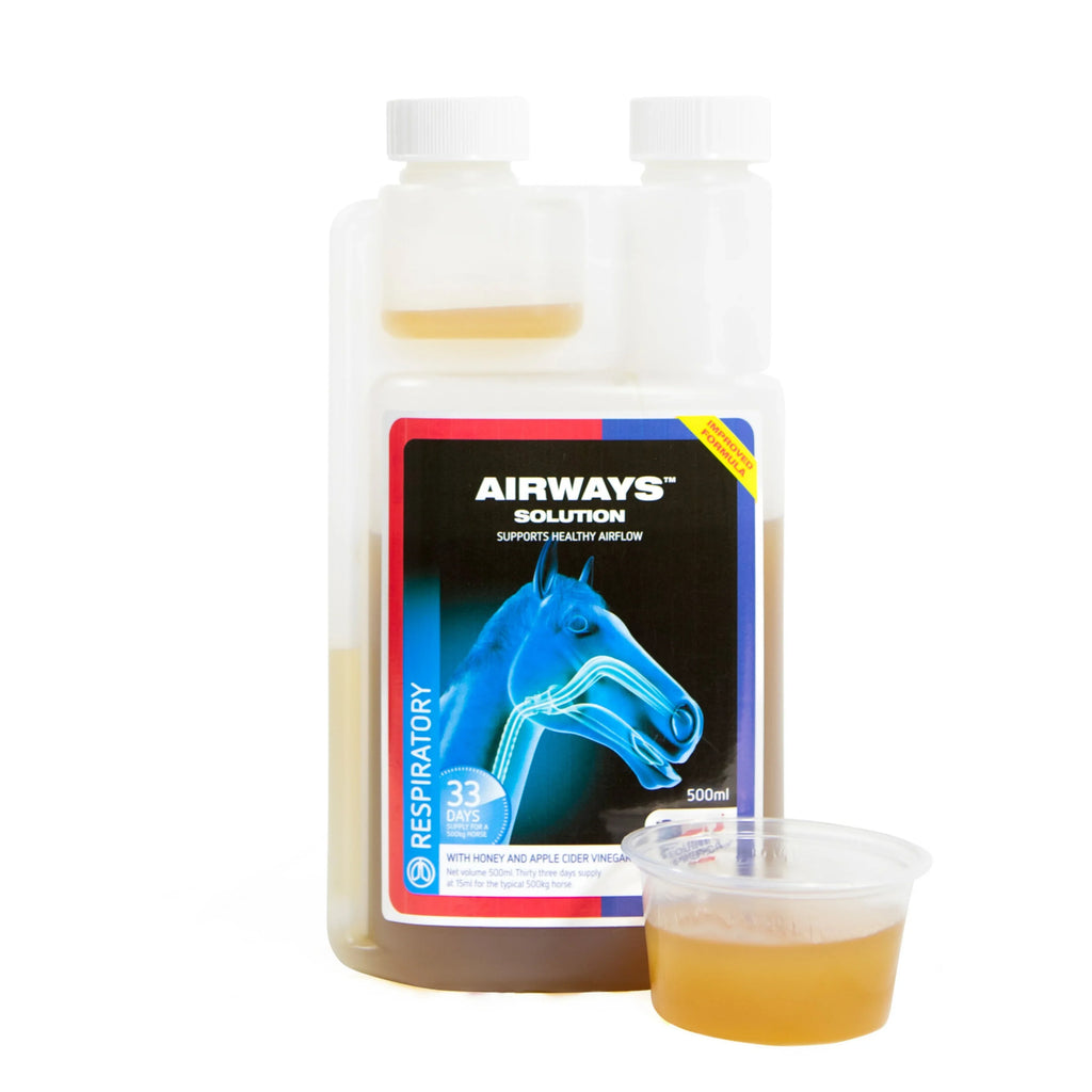 equine-america-airways-solution-legutak