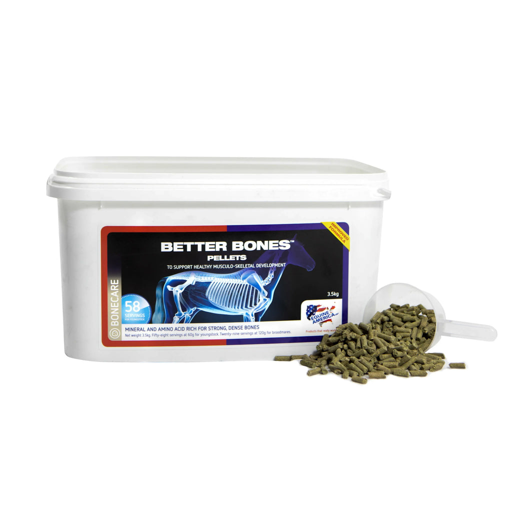 equine-america-better-bones-csontozat