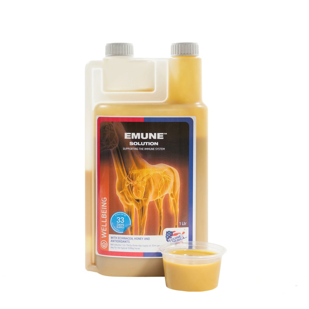 equine-america-emune-immunrendszer