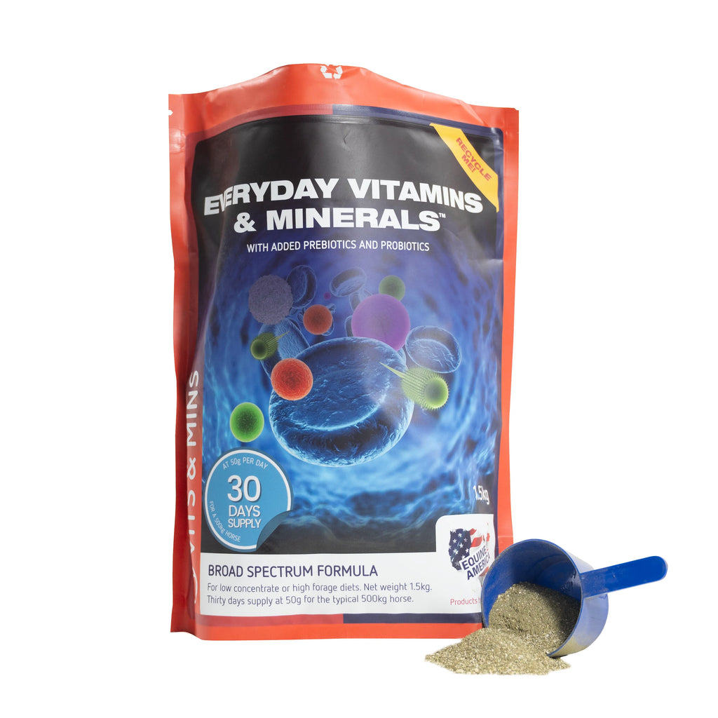 Everyday Vitamins & Minerals 1.5 kg