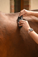 noble_equus_brush_lotisztitashoz