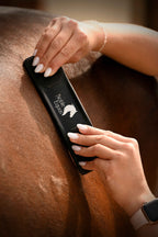 noble_equus_lo_pucolo_vakaro