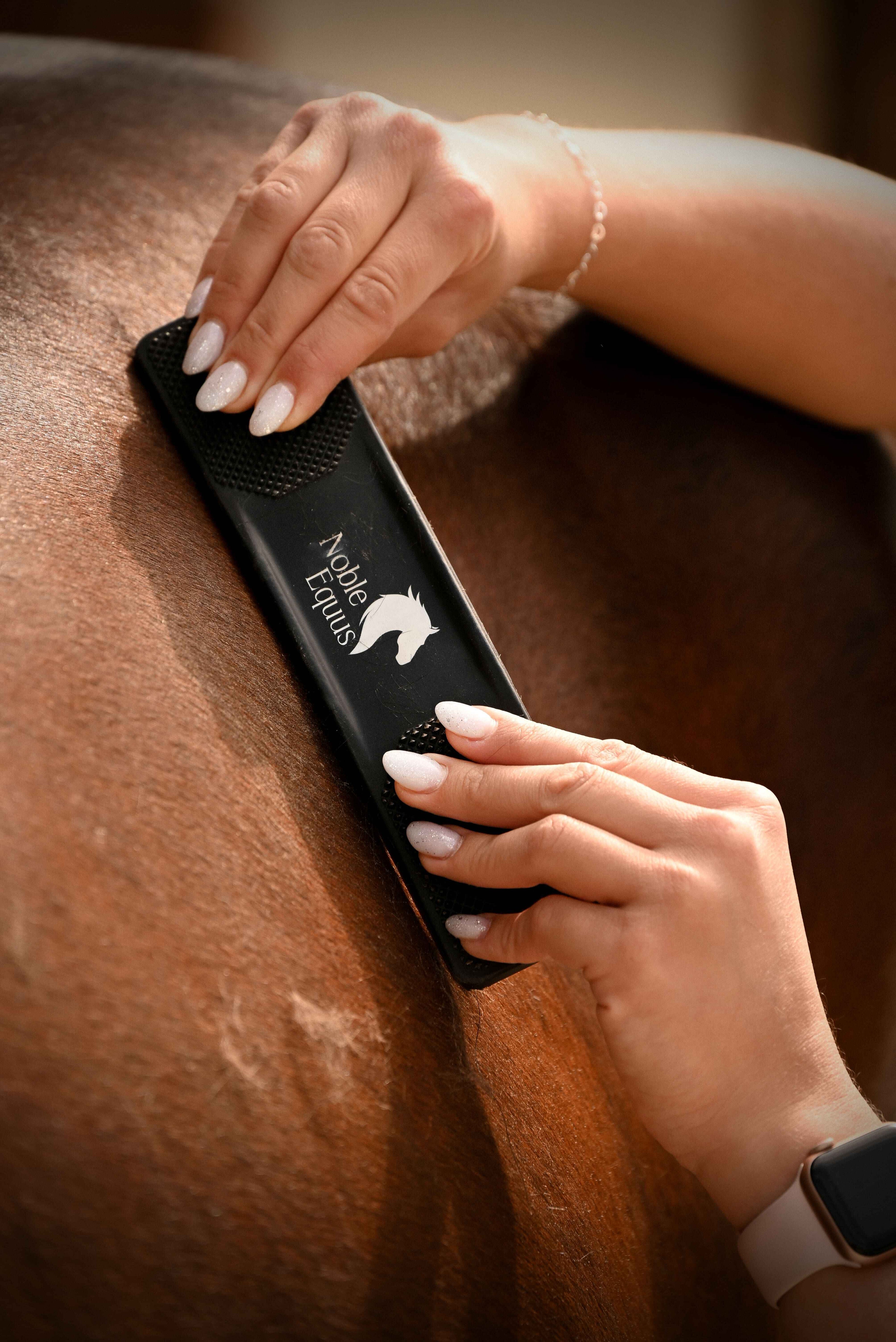 noble_equus_lo_pucolo_vakaro